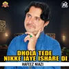 About Dhola Tede Nikke Jaye Ishare Di Song