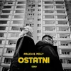 About Ostatni Song