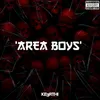 About Area Boys Song
