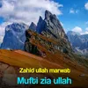 About Mufti Ziaullah Song