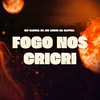 About Fogo nos CriCri Song