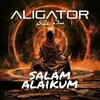 About Salam Alaikum Song