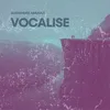 About Vocalise Song