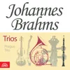Horn Trio in E-Flat Major, Op. 40: I. Andante. Poco piú animato