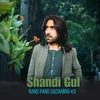 About Rang Pang Qadamina Ko Song