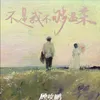 About 不是我不够温柔 Song