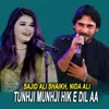 Tunhji Munhji Hik E Dil Aa