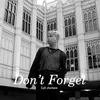 About Don't Forget Song