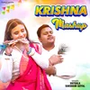 About Krishna Mashup Song