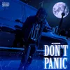 About Don't Panic Song