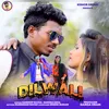 About DILWALI Song