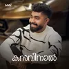 About Kasavinaal Song