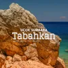 About Tabahkan Song