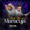 About Flor de Maracujá Song