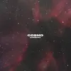 About Cosmo Song