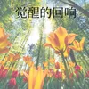 About 觉醒的回声 Song