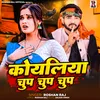 About Koyaliya Chup Chup Chup Song