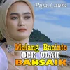 About MALANG BACINTO DEK ULAH BANSAIK Song