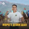 About Мәреге дейін шап Song