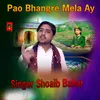 About Pao Bhangre Mela Aya Song