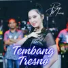 About Tembang Tresno Song