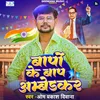 About Bapon Ke Bap Ambedkar Song