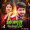 About Bhojpuri Mashup 2024 Song