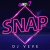 About SNAP INST Song