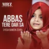 About Abbas Tere Dar Sa Song