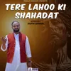 About Tere Lahoo Ki Shahadat Song