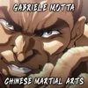 Chinese Martial Arts