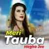About Meri Tauba Song