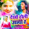 About Dekho Holi Aai Hai Song