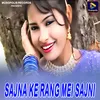 About Sajna Ke Rang Mei Sajni Song