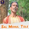 Sal Mohul Tole