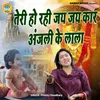 About Teri Ho Rahi Jay Jay Kar Anjni Ke Lala Song