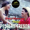About Pejalan Tresna Song