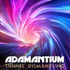 About Tunnel Dismantling Song