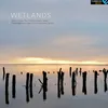 About Wetlands Song