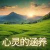 About 心灵的涵养 Song