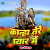 About Kanha Tere Pyar Me Song