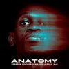 About Anatomy Song