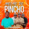 About Molho Do Pincho Song