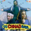 About Tu Chhad Gaya Song