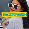 About PARTY GACOR PARAH Song