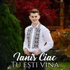 Tu ești vina