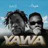 About Yawa Song