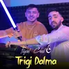 About Trigi Dalma Song