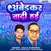 About Ambedkar Wadi Hai Song