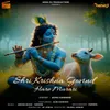 About Shri Krishna Govind Hare Murari Song